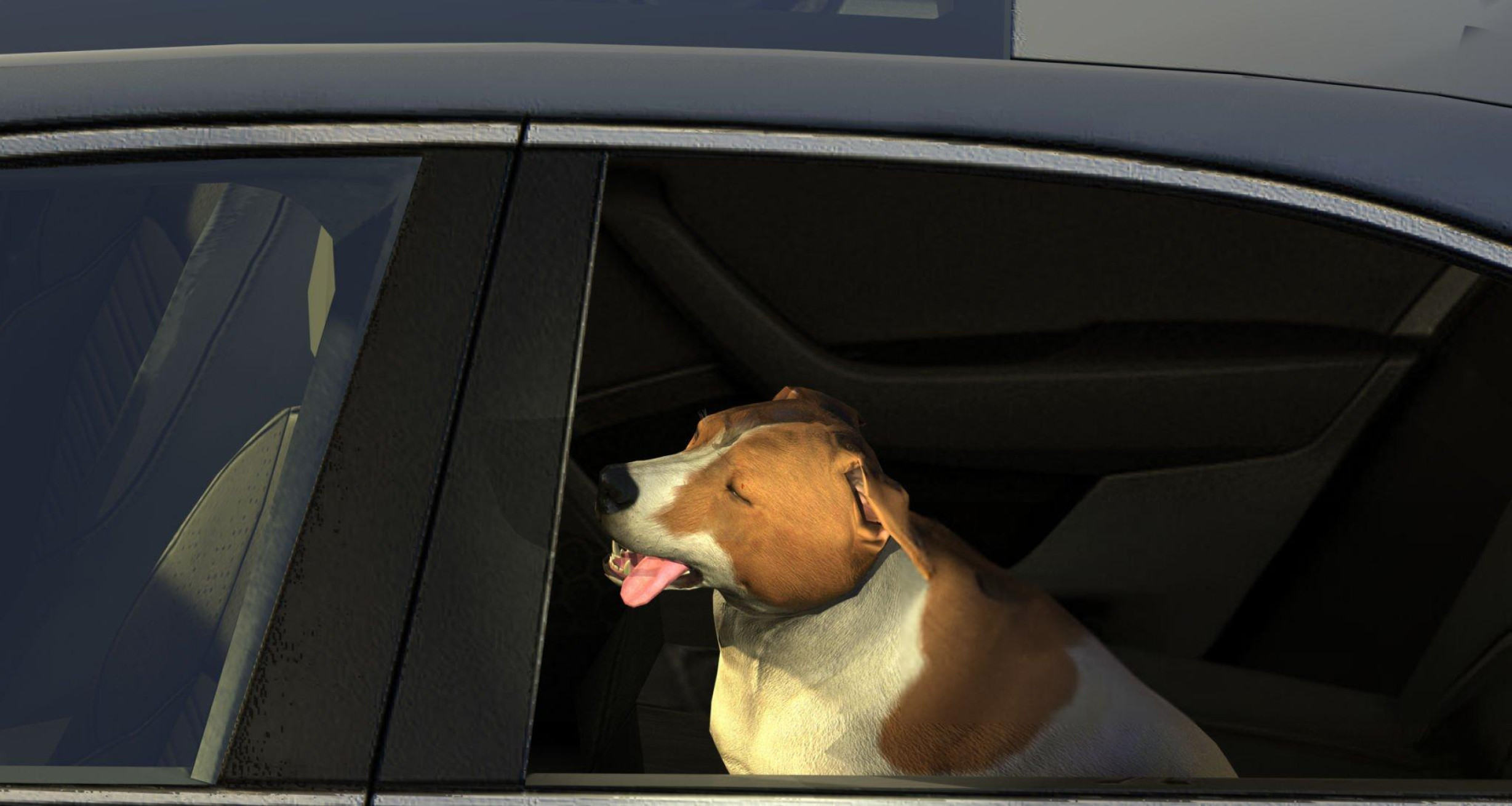 Pet-Friendly Chauffeur Service by Diamond Car